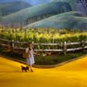 It Turns Out A Lot Of The Wizard Of Oz Is About . . . Fiscal Policy on Random Secret Political Symbolism You Never Knew Was Hidden Within Wizard Of Oz