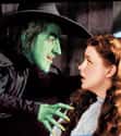 The Wicked Witches Represent Powerful Interests In American Politics on Random Secret Political Symbolism You Never Knew Was Hidden Within Wizard Of Oz