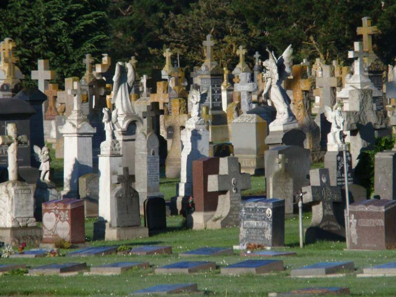 Graves Were Moved From San Francisco To Colma To Free Up Space For Housing