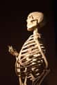 Your Bones Become Brittle on Random Most Terrifying Things That Happen To Your Body As You Age