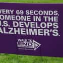 You Can Develop Alzheimer's, Which Is On The Rise on Random Most Terrifying Things That Happen To Your Body As You Age