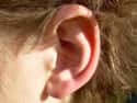 Your Hearing Gradually Gets Worse on Random Most Terrifying Things That Happen To Your Body As You Age