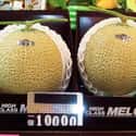 Fruit Is Major Part Of Gift Giving on Random Japan's Luxury Fruit Obsession, Where Melons Sell For Thousands