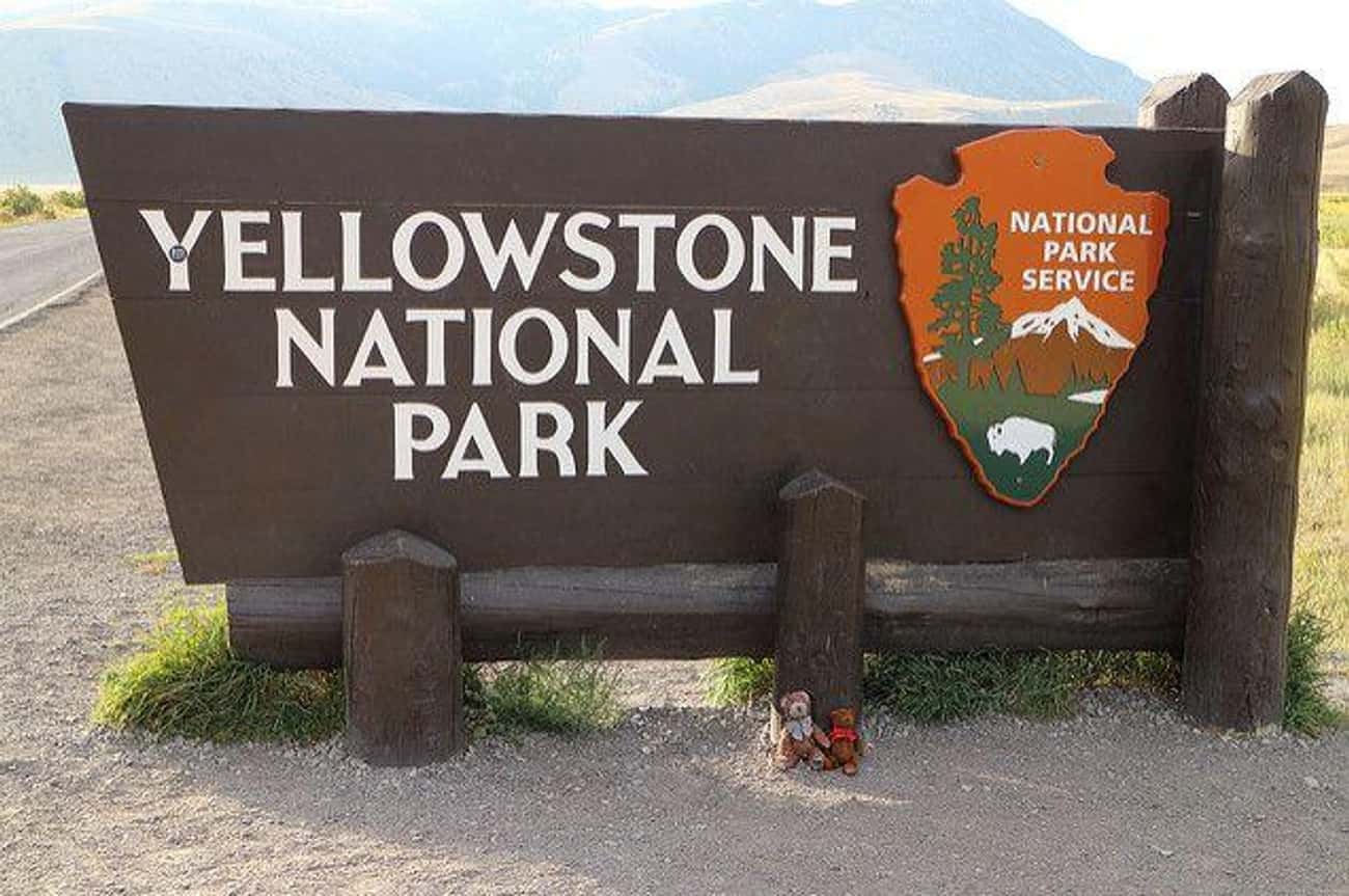 There&#39;s A Legal Murder Zone In Yellowstone National Park
