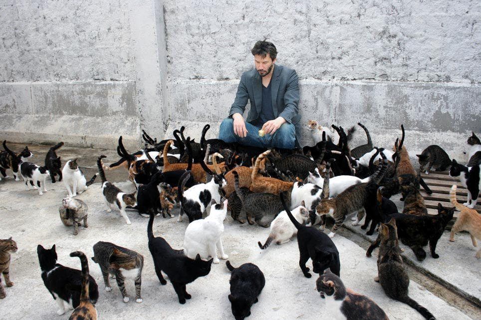 The DMCA Stepped In To End The Cavalcade Of Sadness