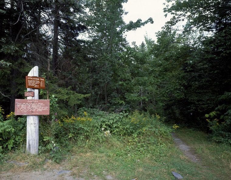 Random Final Journal Entries Of A Hiker Who Died While Hiking Appalachian Trail