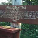 The Long Search Was In One Of The Most Remote Parts Of Maine on Random Final Journal Entries Of A Hiker Who Died While Hiking Appalachian Trail