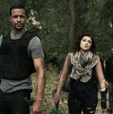 Down The Mississippi