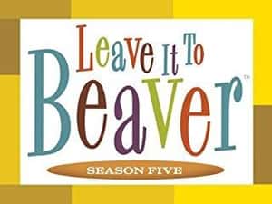 Leave it to Beaver, Season Five: A Night In The Woods