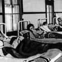 She Was Forced Into Her First Quarantine In 1907 on Random True Story Of Typhoid Mary Is Way Sadder Than You Think