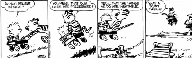 Image result for calvin and hobbes