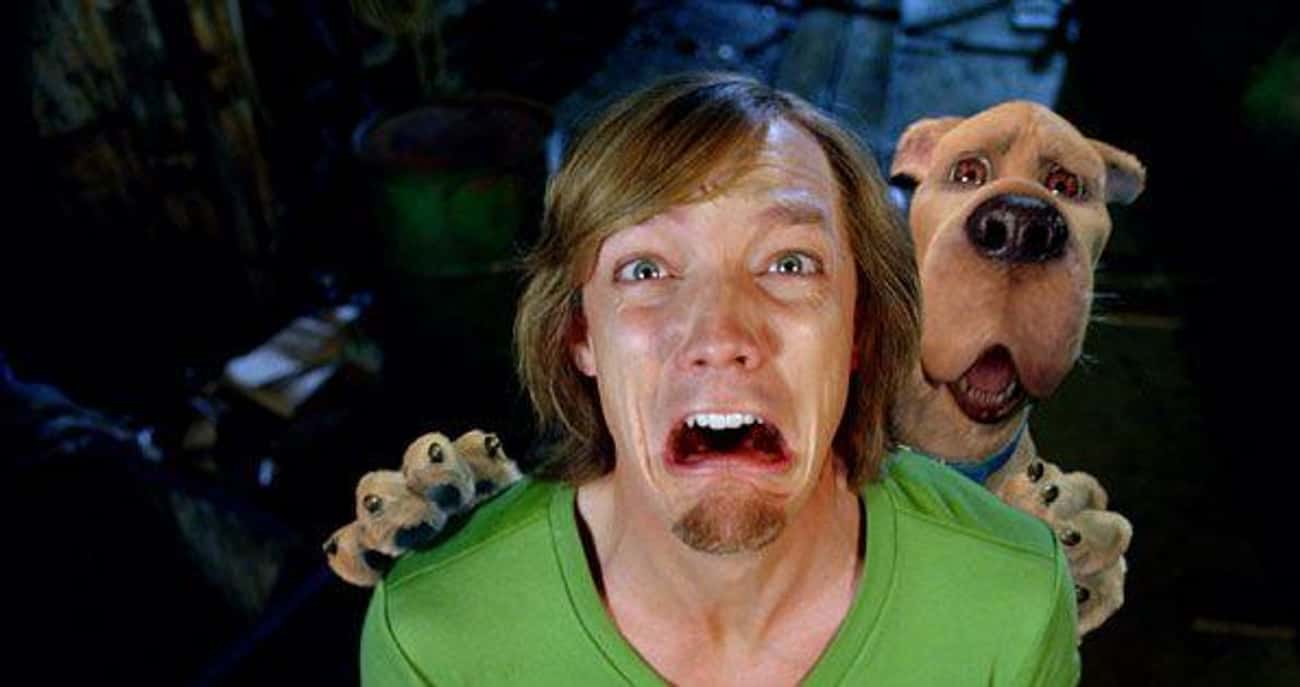He Hated Being Shaggy For A Long Time