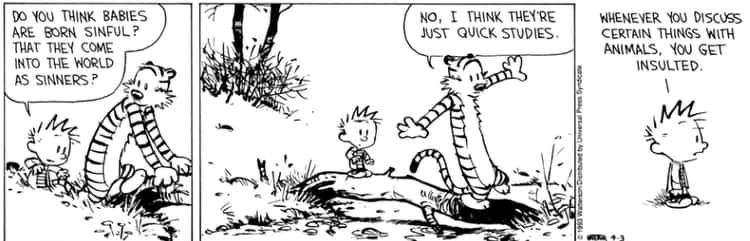 The Surprisingly Dark Political Philosophy of Calvin And Hobbes