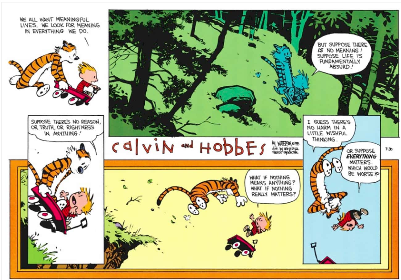 Calvin And Hobbes Discuss The Very Meaning Of Life