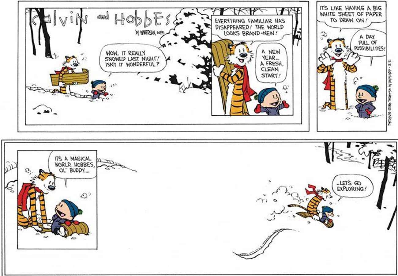 The Last Strip Sums Up The Calvin And Hobbes Philosophy Perfectly