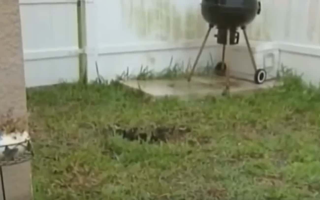 A Woman Was Trapped Inside A Sinkhole In Her Backyard Twice Within The Same Year