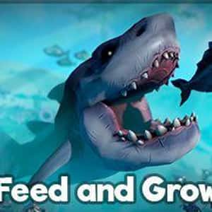 Feed And Grow: Fish