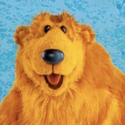 The Greatest Bear Characters | List of Fictional Bears