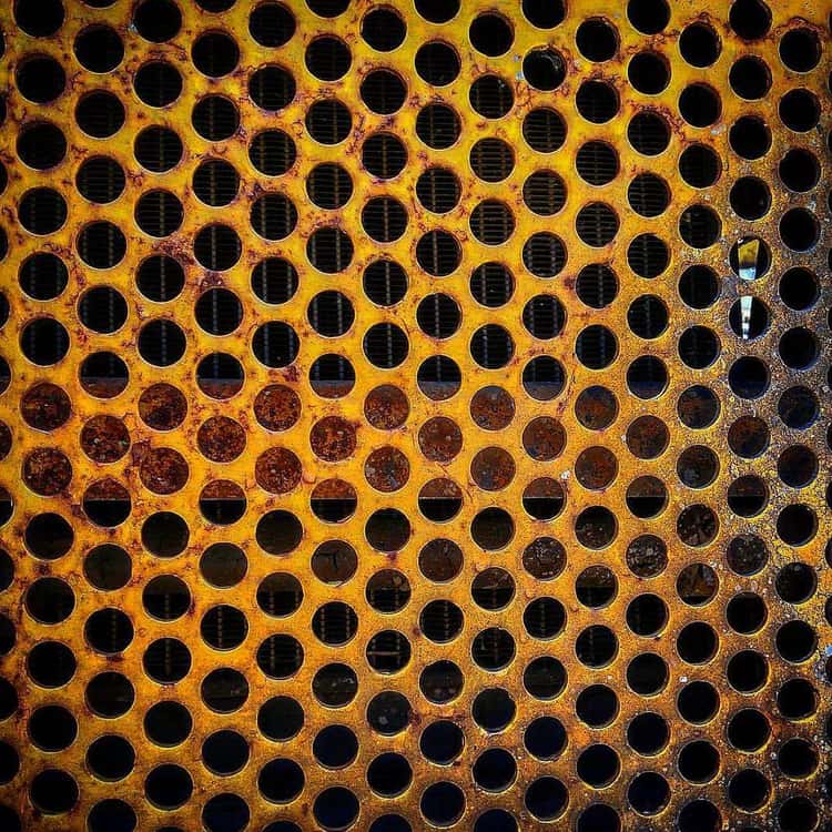 Is Trypophobia Really a Fear of Holes or Something Else Entirely?