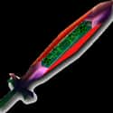 Great Fairy's Sword is listed (or ranked) 7 on the list All The Swords In The Legend Of Zelda, Ranked