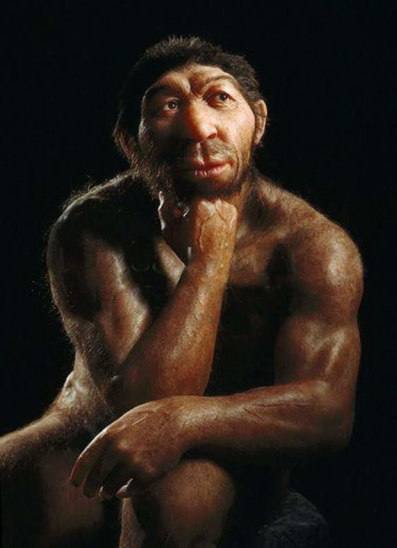 Neanderthal Genitals Were The Same Size As Our Own