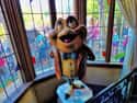 Disneyland Has Mr. Toad's Wild Ride on Random Reasons Why Disneyland Will Always Be Better Than Disney World
