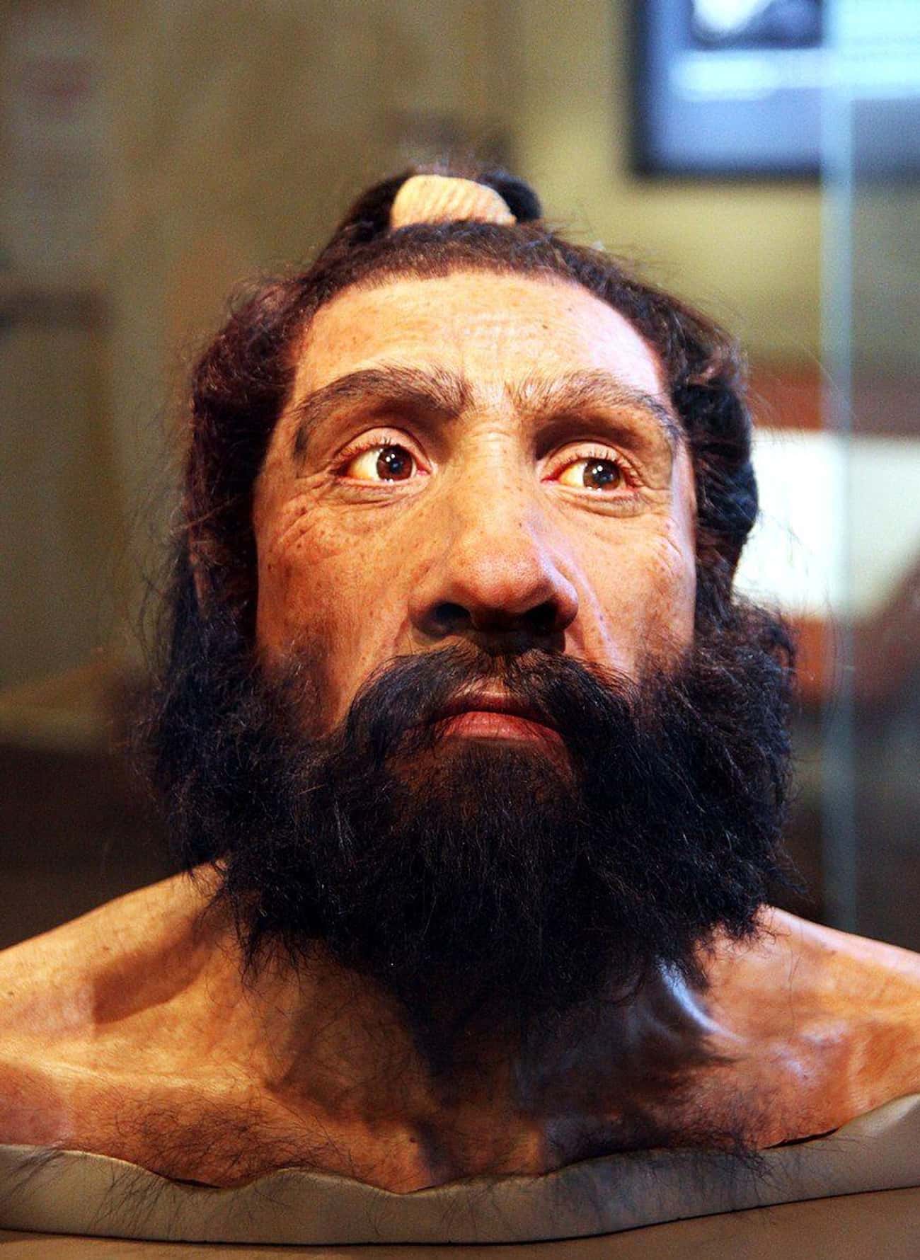 Despite Our Best Efforts, We Still Don't Know Much About Neanderthal Intercourse