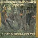 I Put A Spell On You - Creedence Clearwater Revival on Random Best Songs About Magic