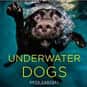 Underwater Dogs is listed (or ranked) 1 on the list The Best Cheap and Inexpensive Coffee Table Books