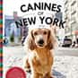 Canines of New York is listed (or ranked) 16 on the list The Best Cheap and Inexpensive Coffee Table Books
