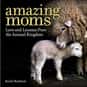 Amazing Moms: Love and Lessons... is listed (or ranked) 11 on the list The Best Cheap and Inexpensive Coffee Table Books