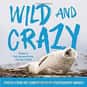 Wild and Crazy: Photos from th... is listed (or ranked) 25 on the list The Best Cheap and Inexpensive Coffee Table Books