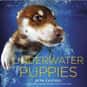 Underwater Puppies is listed (or ranked) 19 on the list The Best Cheap and Inexpensive Coffee Table Books