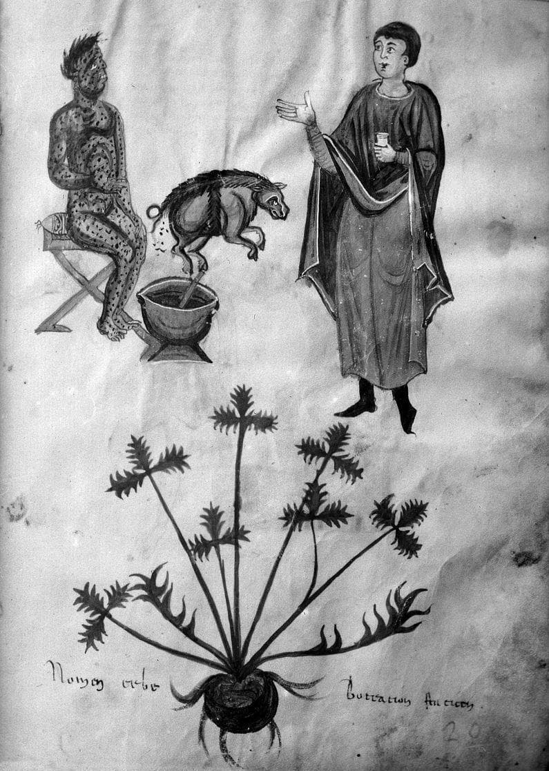 The Dark History of the St. Anthony's Fire Disease