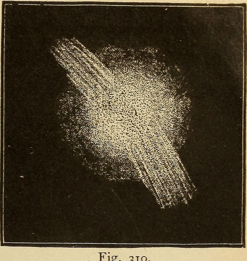 An Amateur Astronomer Believed The Comet Would Set Earth On Fire