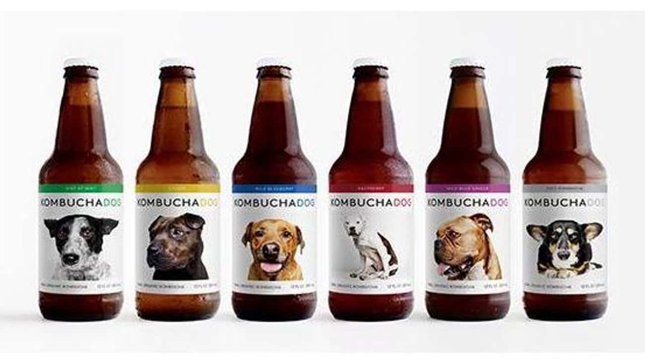 Full Circle Got 'Busted' For Serving Illegal Kombucha