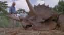 The Triceratops Poop Was Not Realistic on Random Wrong Things in Jurassic Park About Dinosaurs