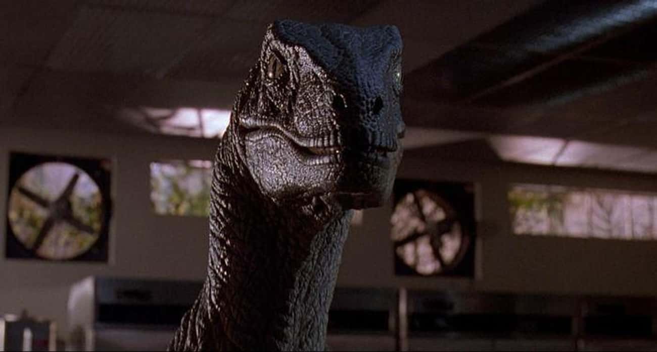 Spielberg Basically Created An Entirely New Dinosaur With The Velociraptors