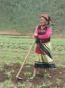 The Community Respects The Earth And Its Resources on Random Things That This Village In China Is Run Entirely By Women