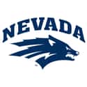 Nevada is listed (or ranked) 38 on the list March Madness: Who Will Win the 2018 NCAA Tournament?