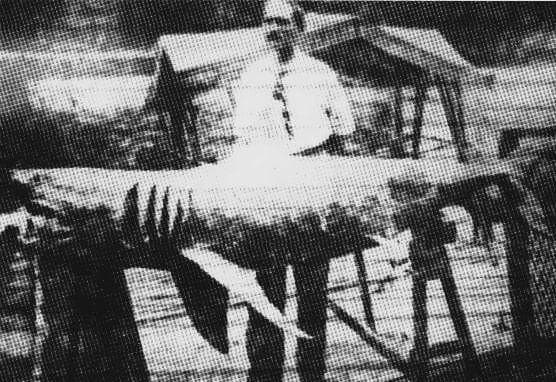 The Culprit Was Eventually Caught, And A Gruesome Discovery Was Made