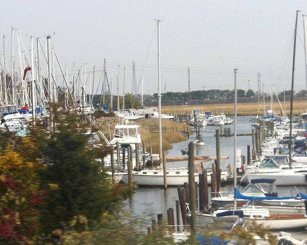 The Shark Didn't Just Stick To The Ocean