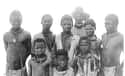 It Was The First Mass Extermination Event Of The 20th Century on Random Things Of Decades Before Holocaust, Germany Practiced Genocide On Two African Nations