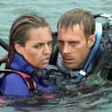 They Were Missed In The Head Count Due To Confusion And An Inexperienced Crew on Random True Story Behind 'Open Water' Is A Dark Mystery That Goes Way Beyond Horror Of Film
