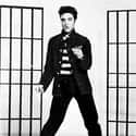 He May Not Have Lived Up To His Sexualized Image on Random Disconcerting Stories From Elvis Presley's Personal Life
