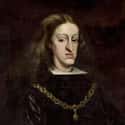 Most Of Charles's Health Issues Were Caused By Genetic Disorders on Random Facts About Charles II Of Spain's Health Problems Destroyed His Dynasty And Plunged Europe Into War