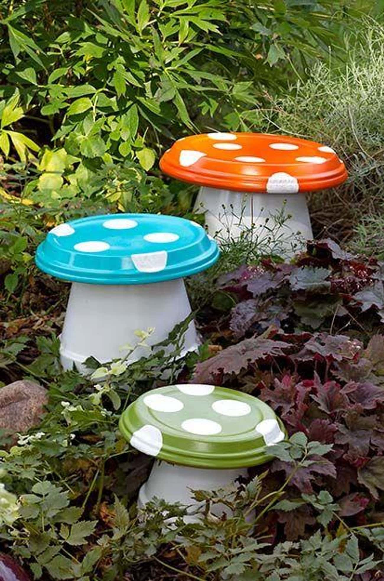 A Garden Mushroom