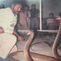 Snake Charmer Ali Khan Samsudin Works Until A Cobra Bites Him, 2006 on Random Haunting Photos Taken Moments Before Tragedy Struck