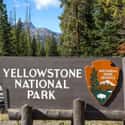 Not only an environmental concern, but a cultural and historical one as well, how can we make sure our National Parks are preserved for future generations? 