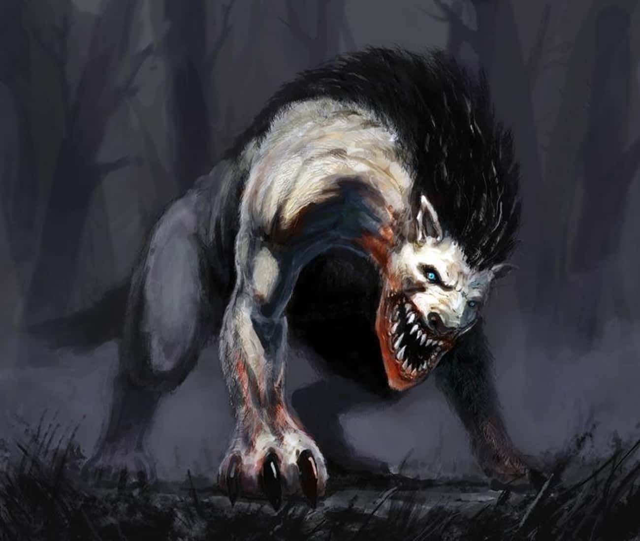 Жеводанский волк людоед